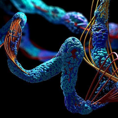 🧬 Peptide Wellness Telehealth
